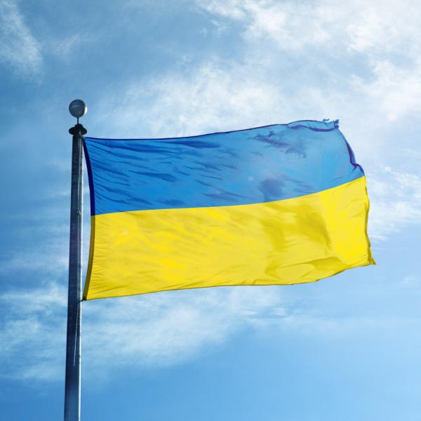 Ukraine: Eine völkerrechtliche Betrachtung
