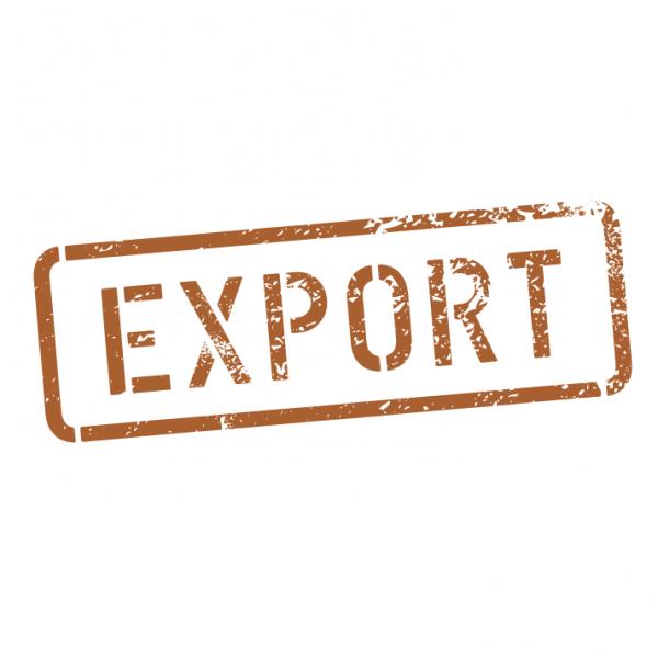  Wohin geht der  Export der Zukunft?