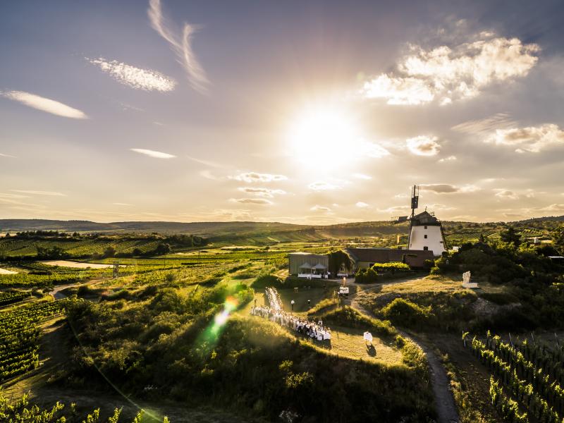 (c) Weinviertel Tourismus // Herbst