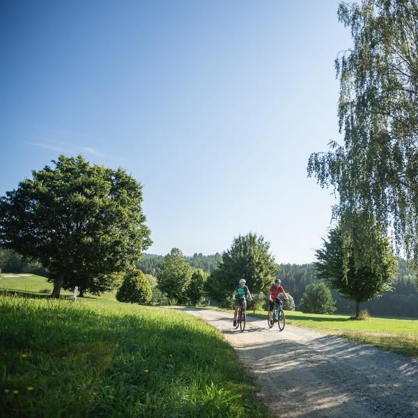 Oberösterreich setzt grenzüberschreitende Initiativen