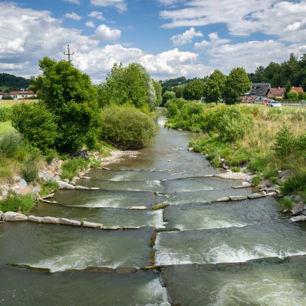  Wettbewerb um beste Klimawandel-Anpassungsprojekte in Österreich und Tschechien gestartet