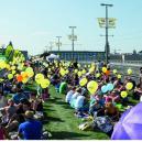 Picknickerlebnis inklusive Strandfeeling